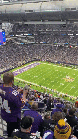 Minnesota Vikings Football GIF by Storyful