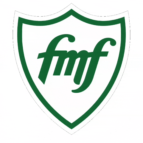 América Mineiro GIF