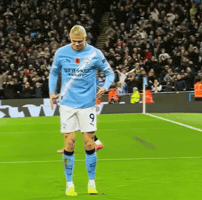 Ronaldo Pessi GIF