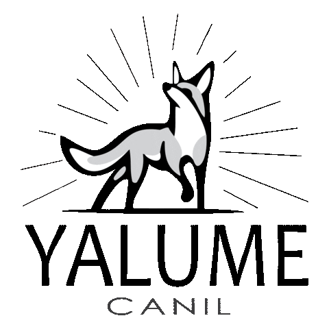 Canil Yalume Sticker