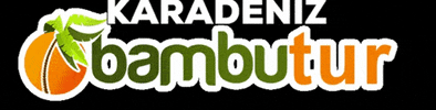 bambutur GIF
