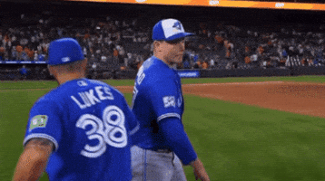 Happy Blue Jays GIF by Toronto Blue Jays