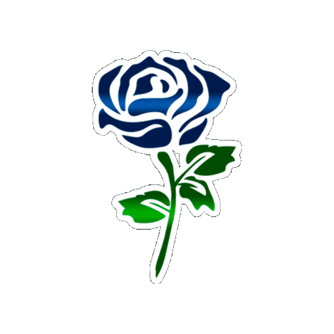 Rosa Flores Sticker