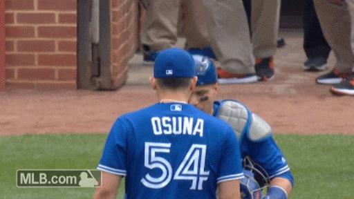 GIF: Fan wins tug of war for bat at Rogers Centre