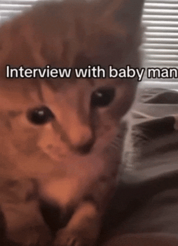 Cat Video Baby Man GIF