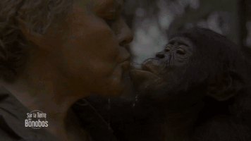 france-3 #france3tv GIF