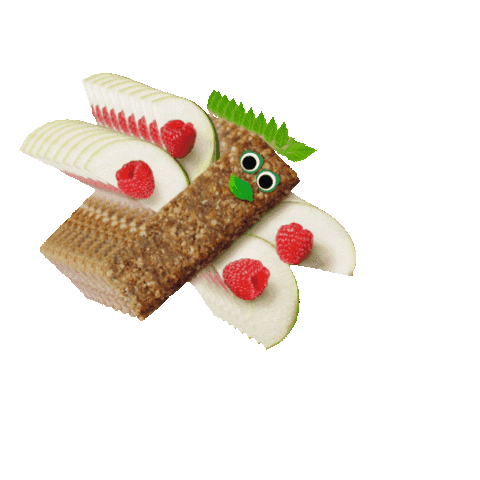 Organix Nederland Sticker