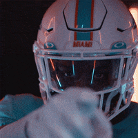 Come Here Miami Football GIF by Miami Dolphins