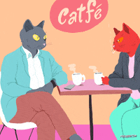 200.gif?cid=fc005b084049b1fd266a9fabc63158605486530bf5174049&rid=200.gif&ct=g