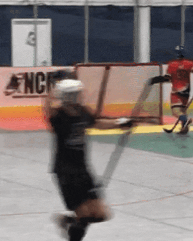 Ball Hockey GIF by USABH_giphy