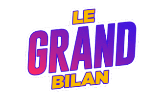 Grand Bilan Sticker by Topito