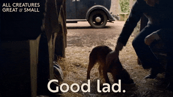 200.gif