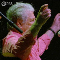 Celebrate The Beach Boys GIF by American Masters on PBS
