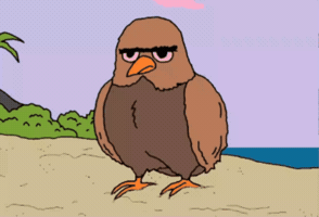 Dont What GIF