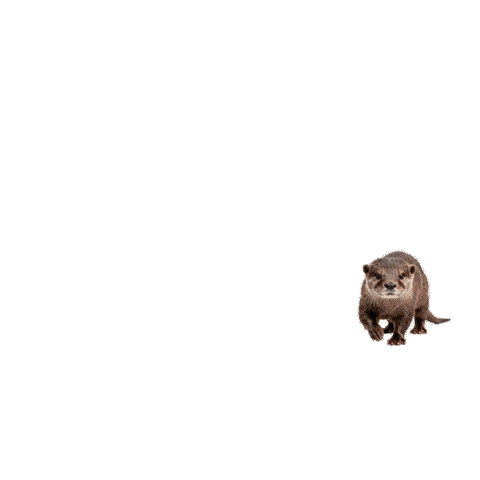Nutria Sticker by ecoembes