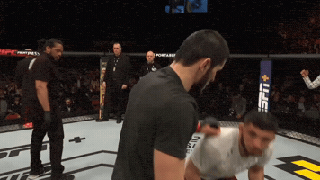 Islam Makhachev Ufc GIF