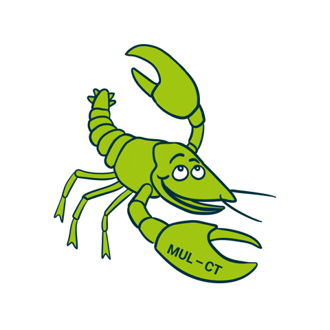 Wave Lobster GIF by MedUniLausitz