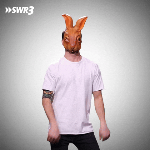 Easter Bunny GIF by SWR3