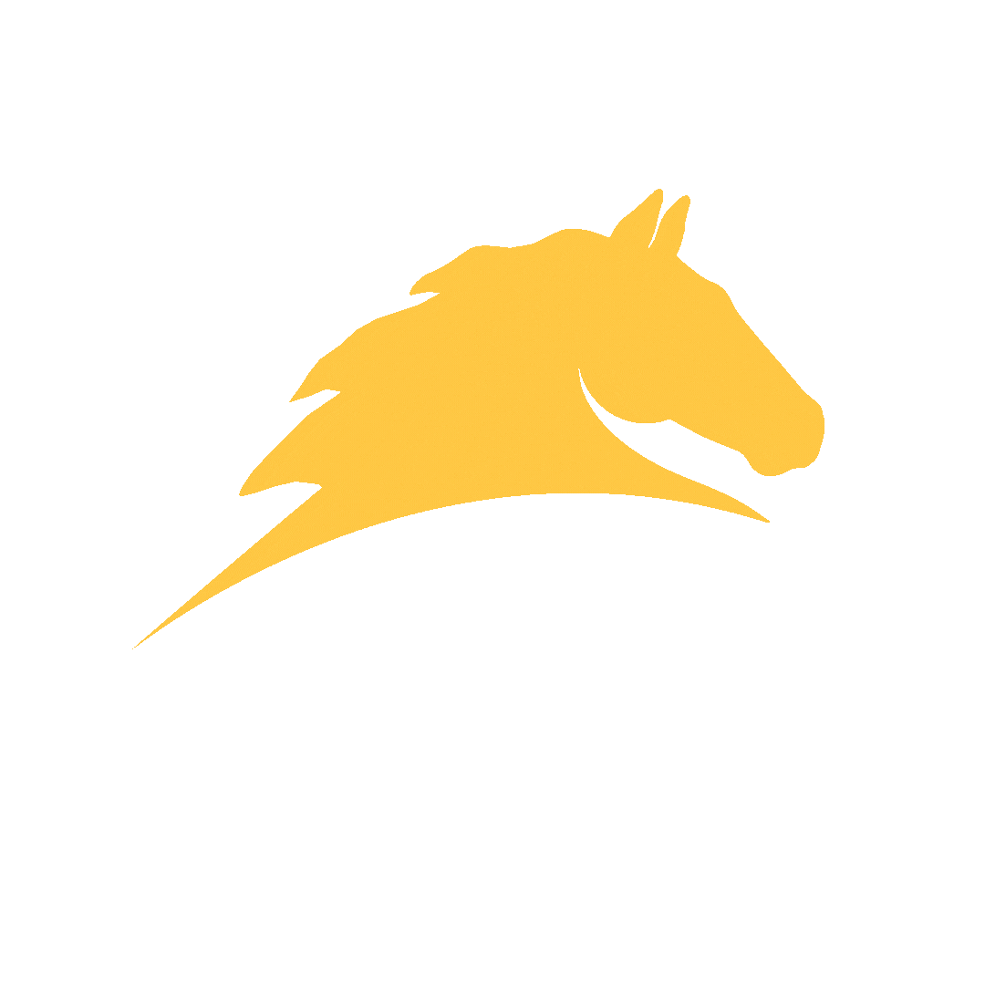 Horses Horse Training Sticker by Parelli Natural Horsemanship