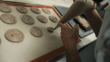 Arendsoog GIF