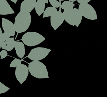 GIF by Huis & Woon Beurs