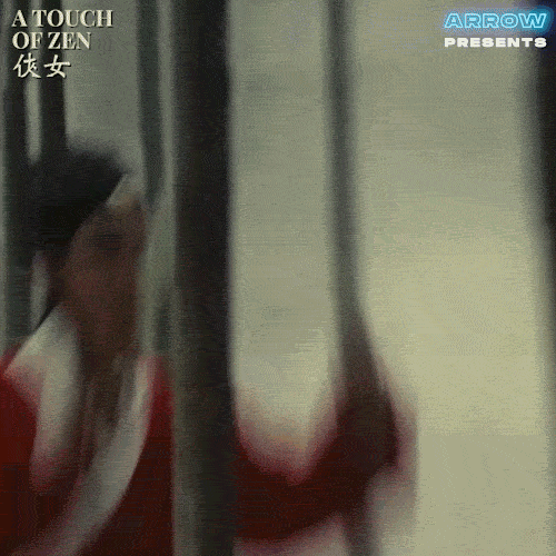 Martial Arts Fighting GIF by Arrow Video