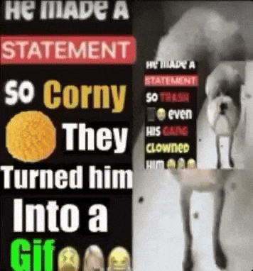 Hamster Statement GIF