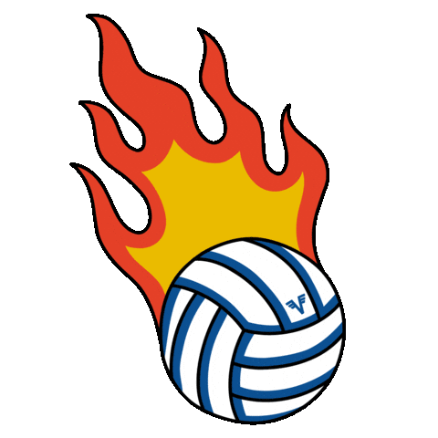 Sport Party Sticker by volksbank