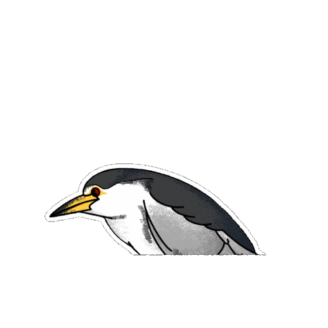 Bird Fauna Sticker by Parks Conservancy