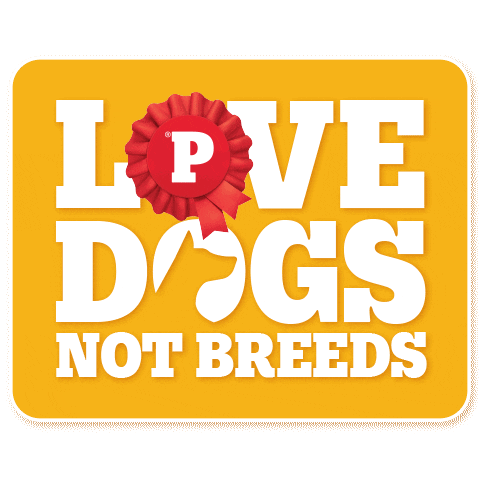 Pedigree_Philippines Sticker