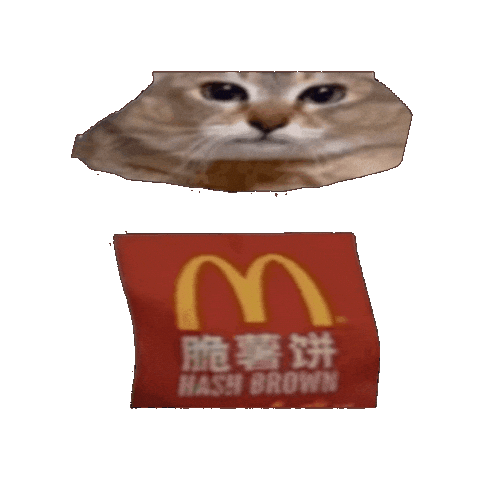 Cat Sticker