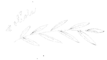 Oliola organic beauty Sticker