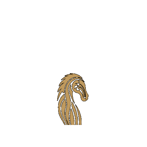 Horseracing Sticker by Galway Races