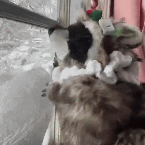 Home Alone Dancing GIF