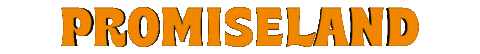 promiselandau Sticker