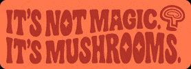 Mc Mushrooms GIF by The Mushroom Council