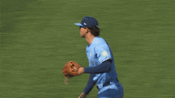 Blue Jays Baseball GIF by Toronto Blue Jays