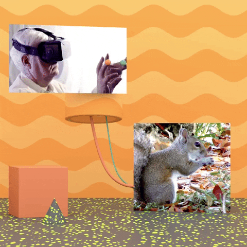 michaelmarczewski gaming technology vr squirrel GIF