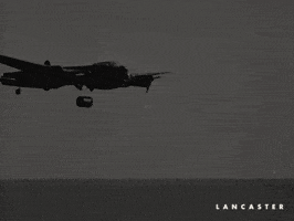 Flying War GIF by Madman Films