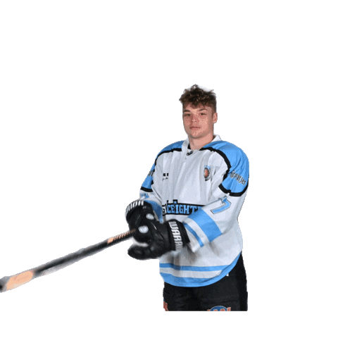 Ice Hockey Sport Sticker by IceFightersLeipzig