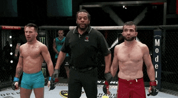 Episode 4 Win GIF by UFC