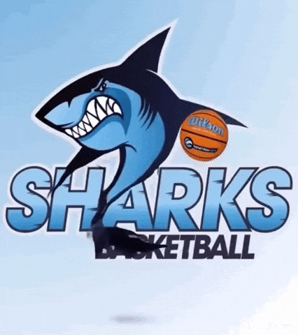 Basketball Sharks GIF