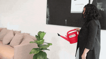 Tal Center GIF