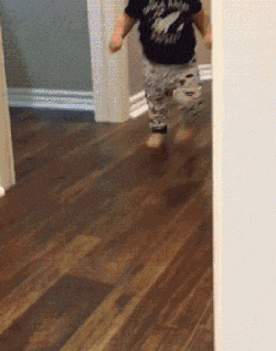Roommate GIF - Find & Share on GIPHY