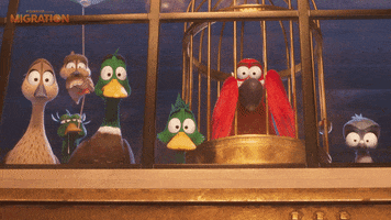 MigrationMovie shocked scared duck marriage GIF