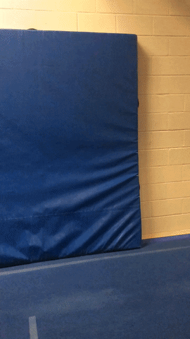 stephaniepetersen gymnastics GIF