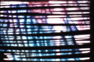 united states submission GIF by The Savannah .GIF Festival