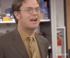 I Dont Think So Season 5 GIF by The Office
