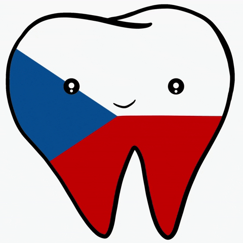 Czech Republic Smile GIF
