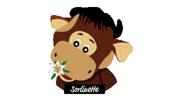 Saint Sorlin d'Arves Sticker